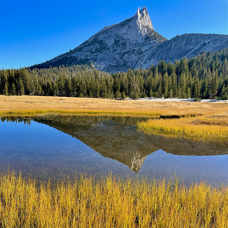 Everhaus Hospitality, Mammoth Lakes CA vacation rentals Mammoth Lakes vacation rental management